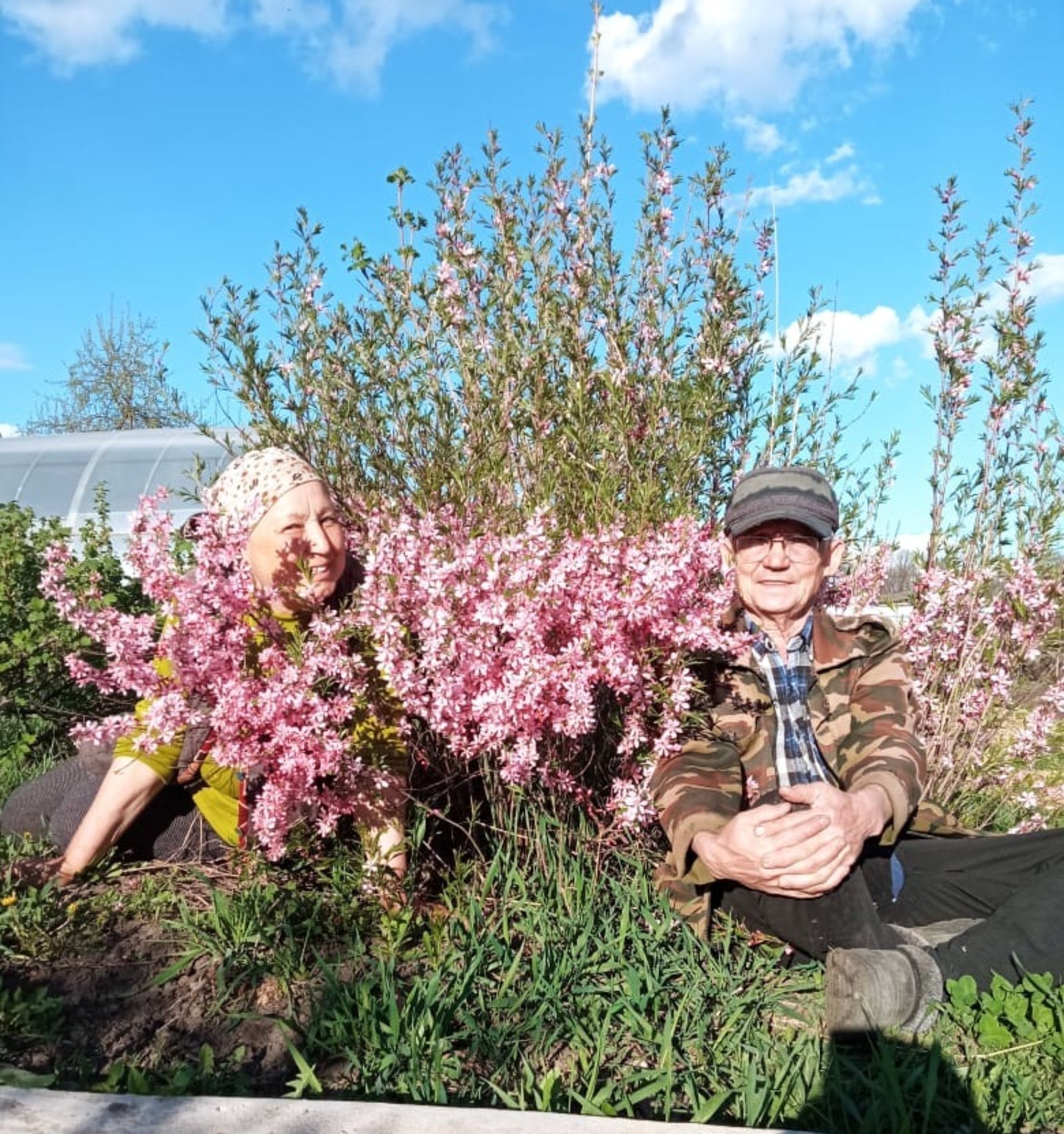 Как в Иглино  можно вырастить абрикосы и каштаны