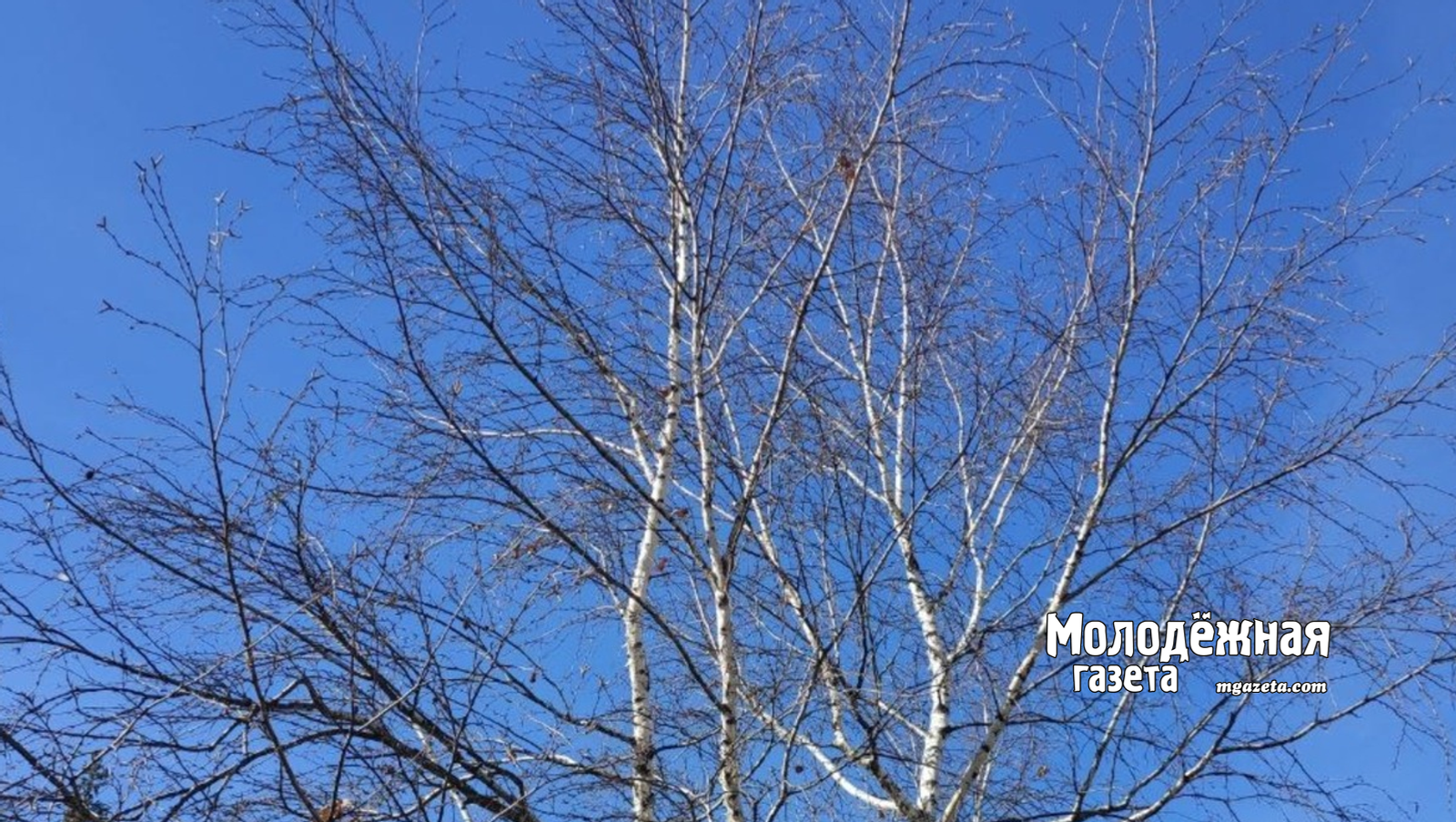 «Стать героем — это выбор»: в Башкирский кадетский корпус открыт набор