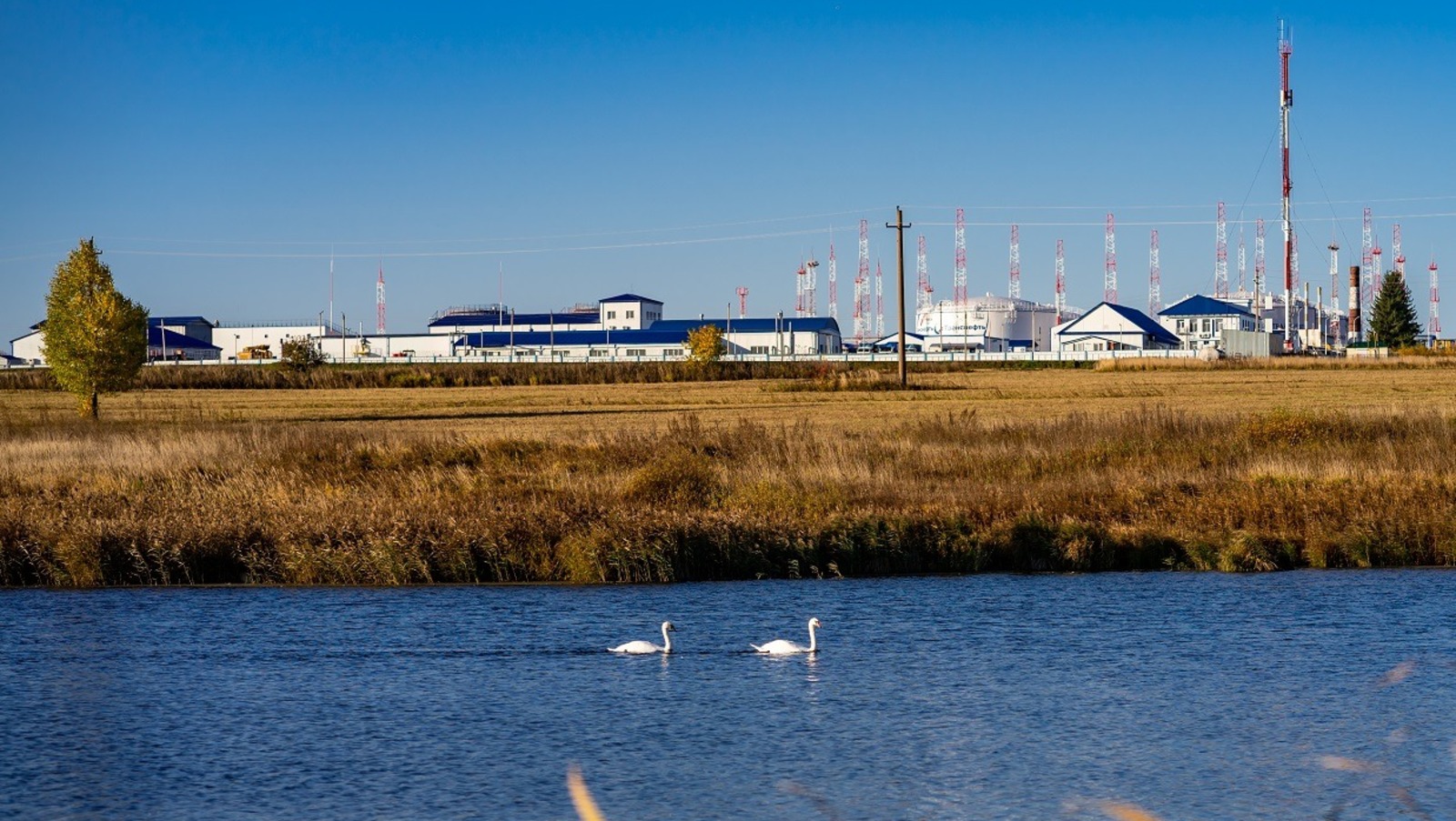 Ильшат Ахметов