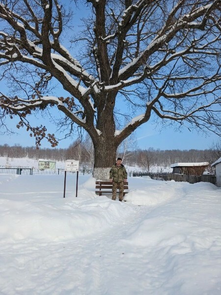 По следам зимней сказки