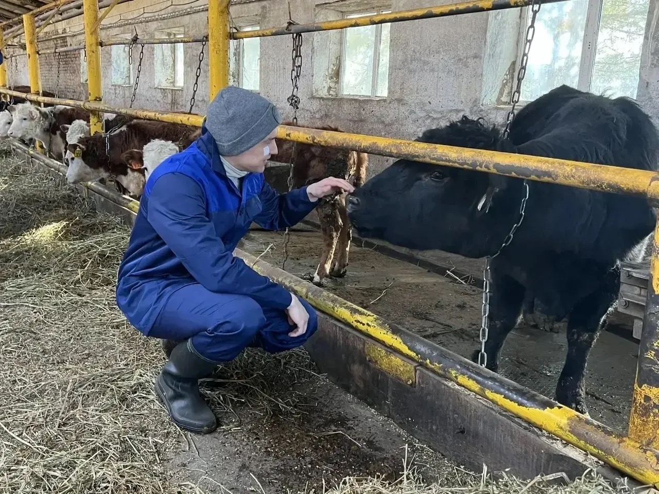 Иглино. Студенты Башкирского ГАУ проходят практику в «ПР-Агро»