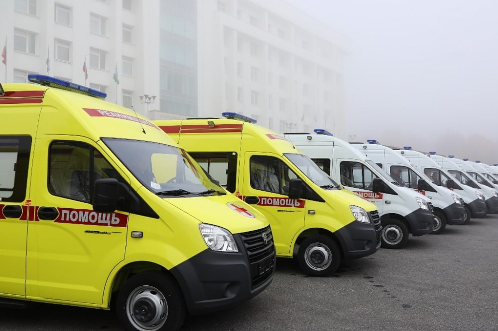 Известные врачи Башкортостана критикуют провокационное «Действие»