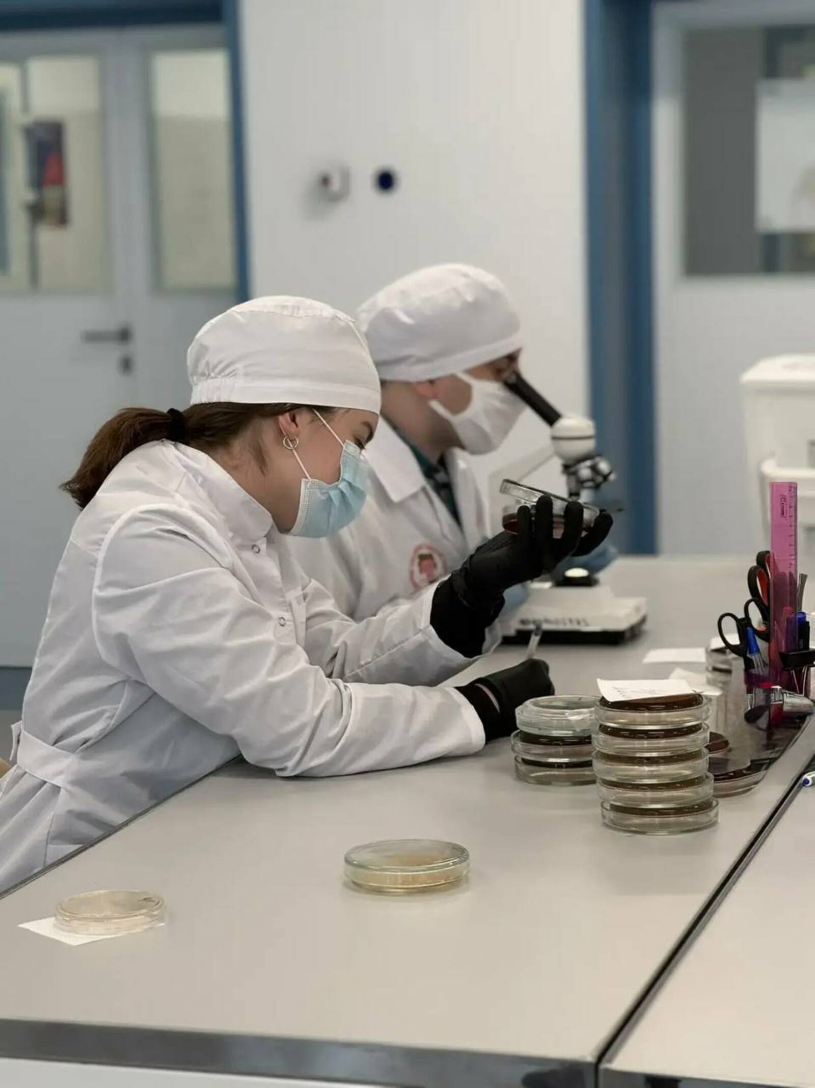 В Межвузовском кампусе создали тест-систему