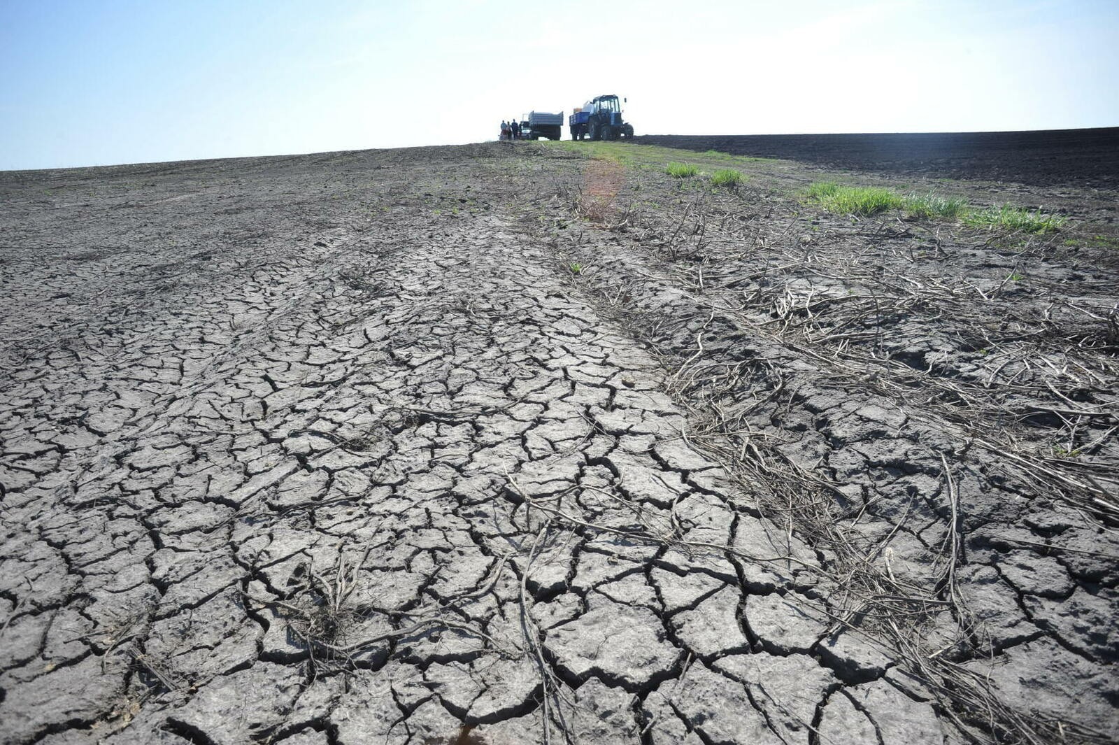 В Иглинском районе Башкирии из-за засухи введён режим чрезвычайной ситуации