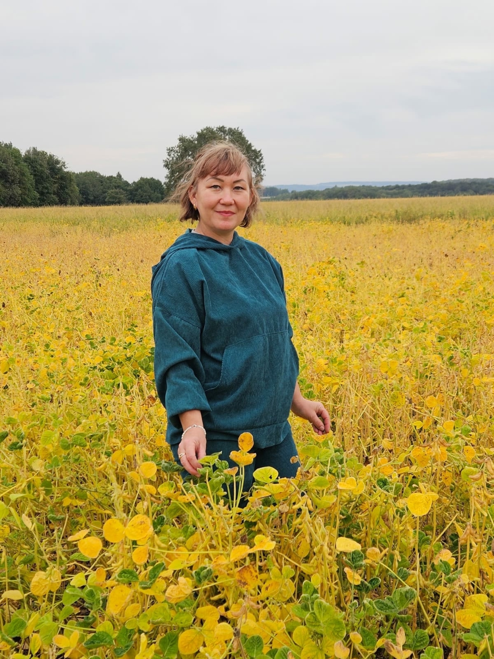 Как выбрать идеальные торфяные таблетки?