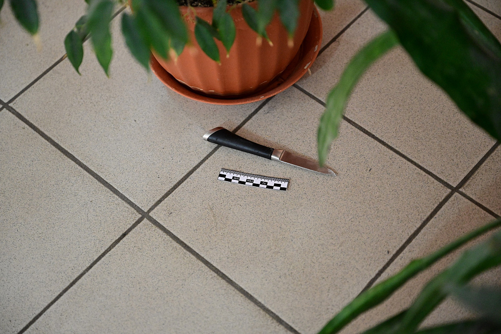 Ситуация в уфимской гимназии № 16 – на контроле Главы Башкортостана