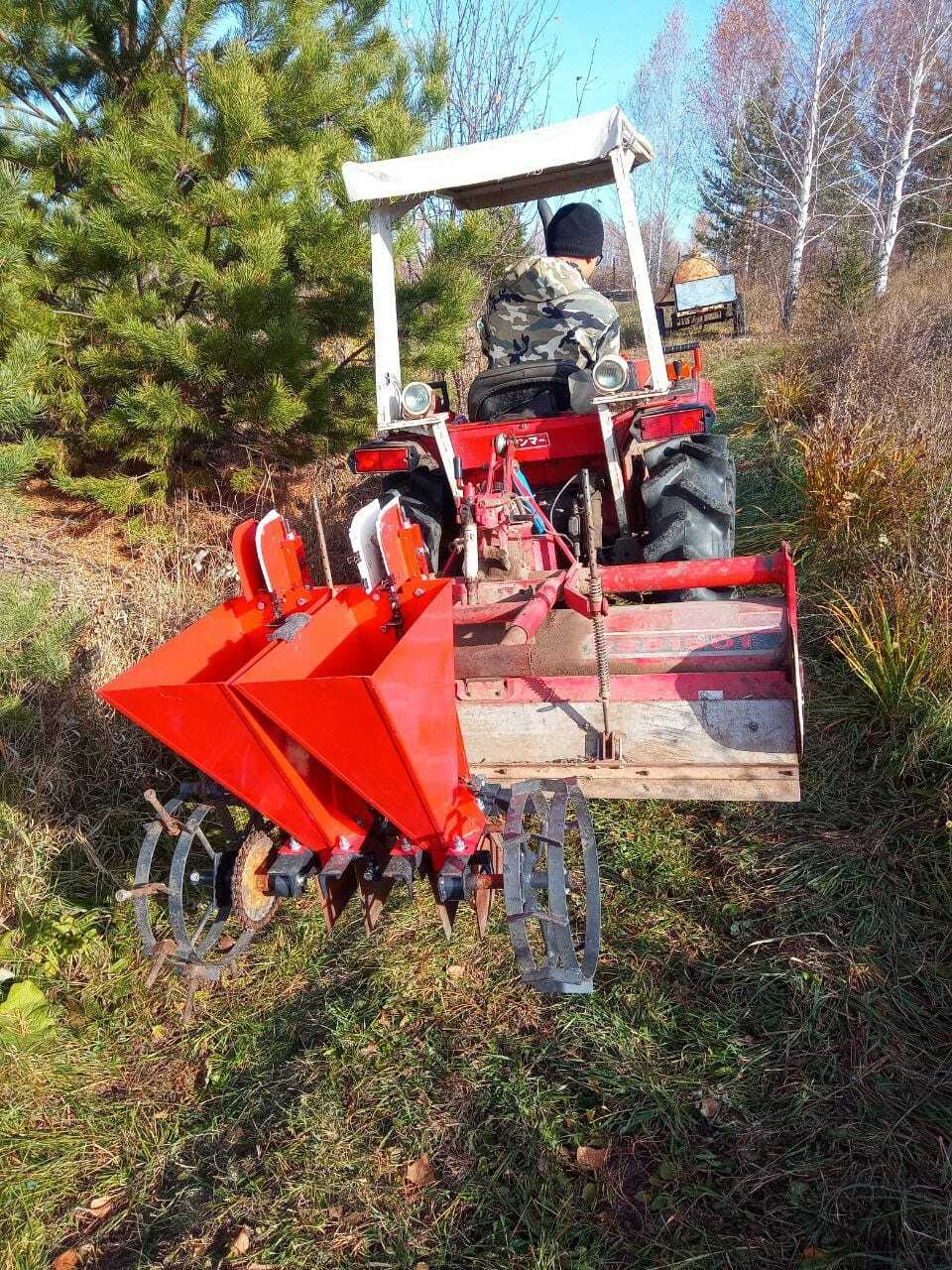 От команды "ЧеснопоЧесноку": как вырастить отличный чеснок