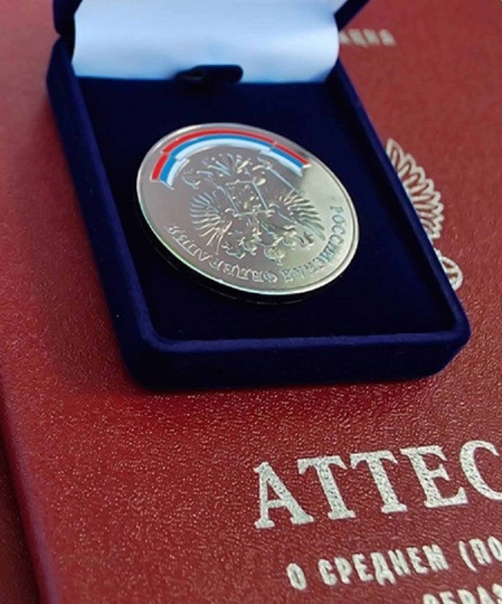 В России в школы вернут серебряные медали