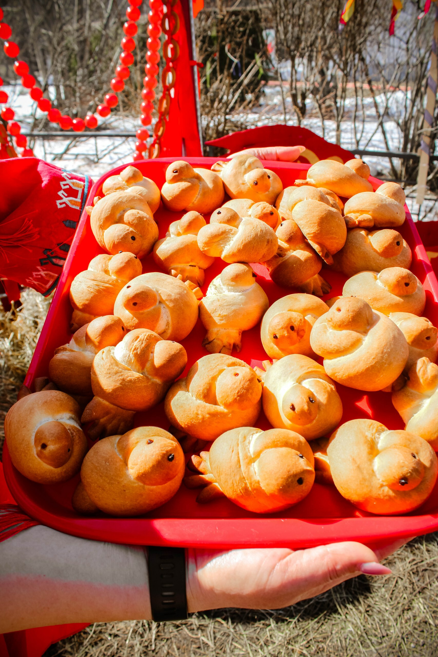 «Гуканне вясны» в Балтике: драники и чак-чак на одном столе