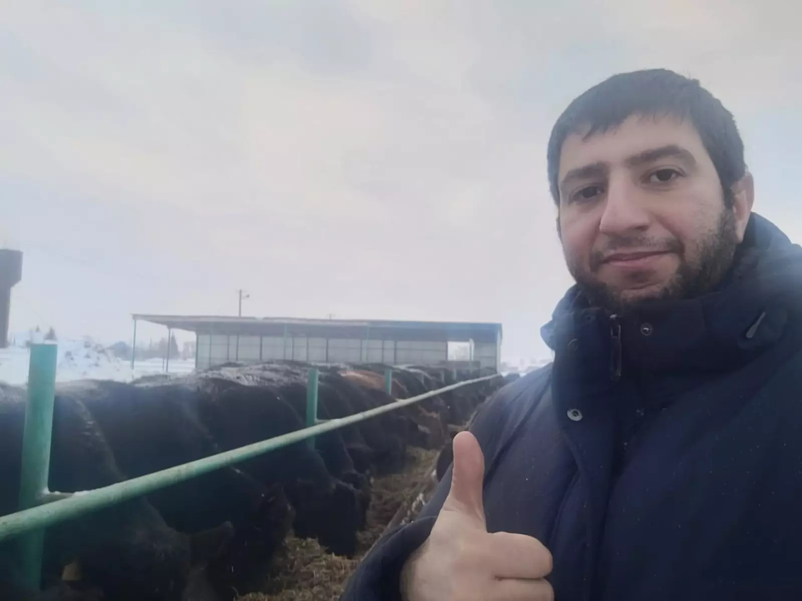 Хорош уход – хороши и телята,