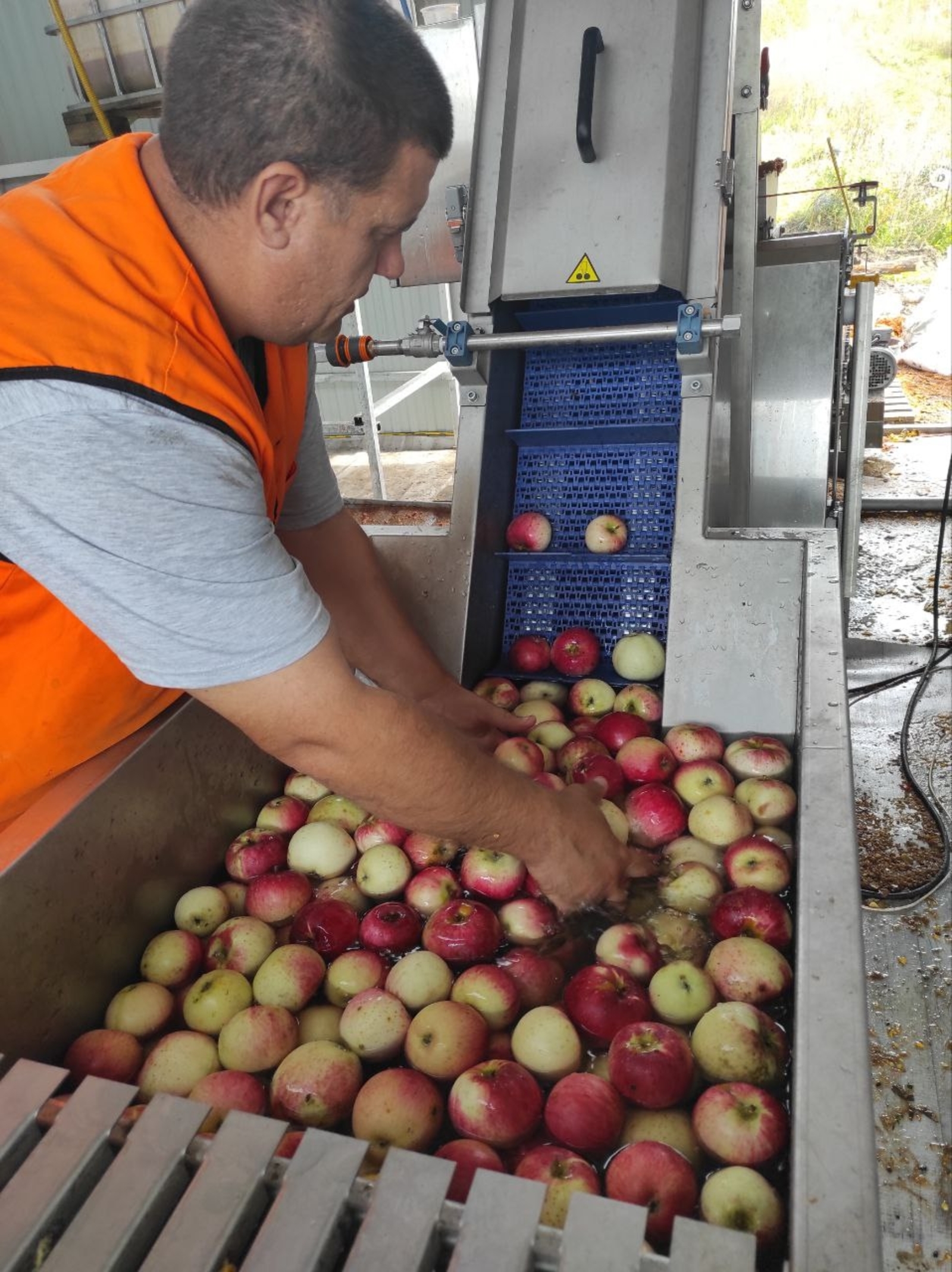 "Уральское яблоко" в Иглинском районе