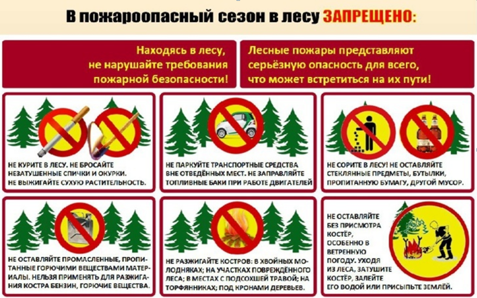 Правила пожарной безопасности при посещении лесов