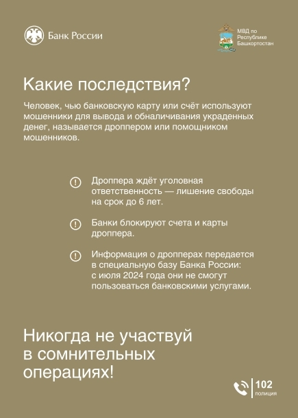 «Легко и быстро заработать»: как не стать соучастником преступления