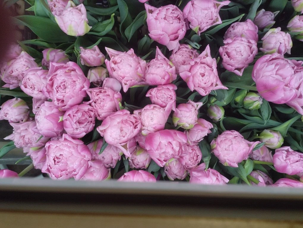 «Цветы - как душа мамы»