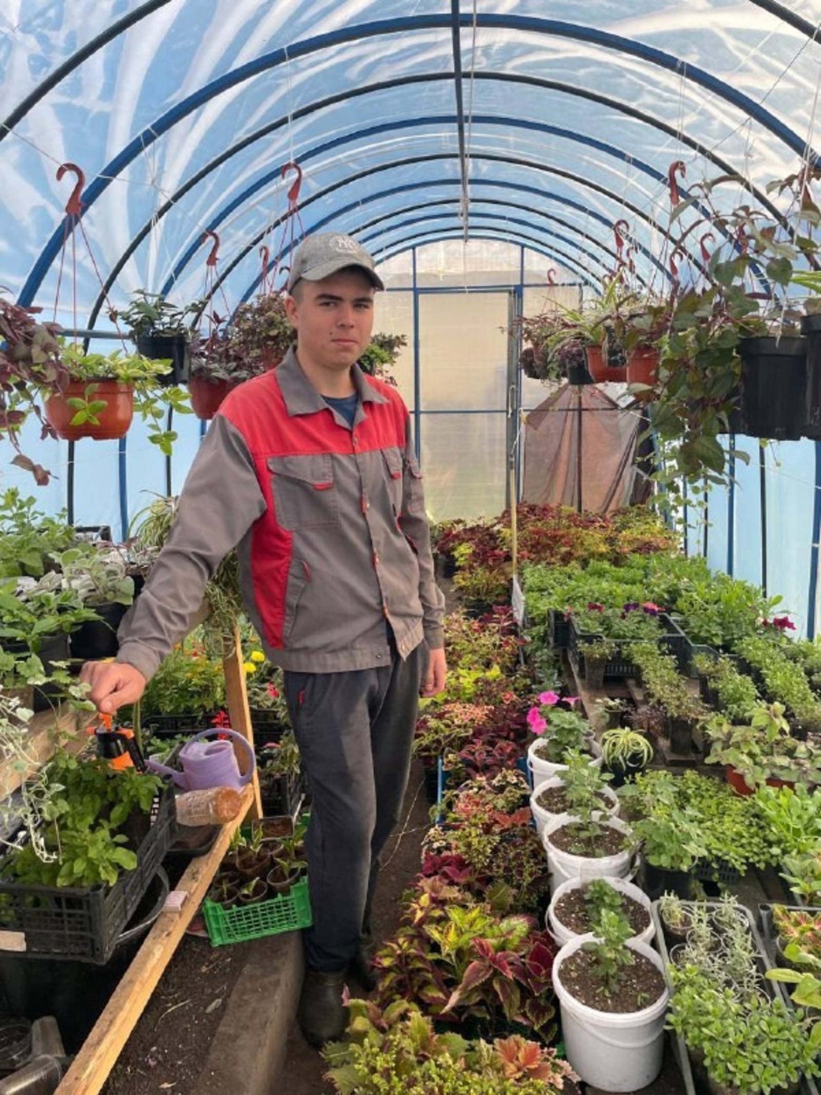 Юный фермер из Чуваш-Кубово выращивает рассаду цветов, разводит кроликов