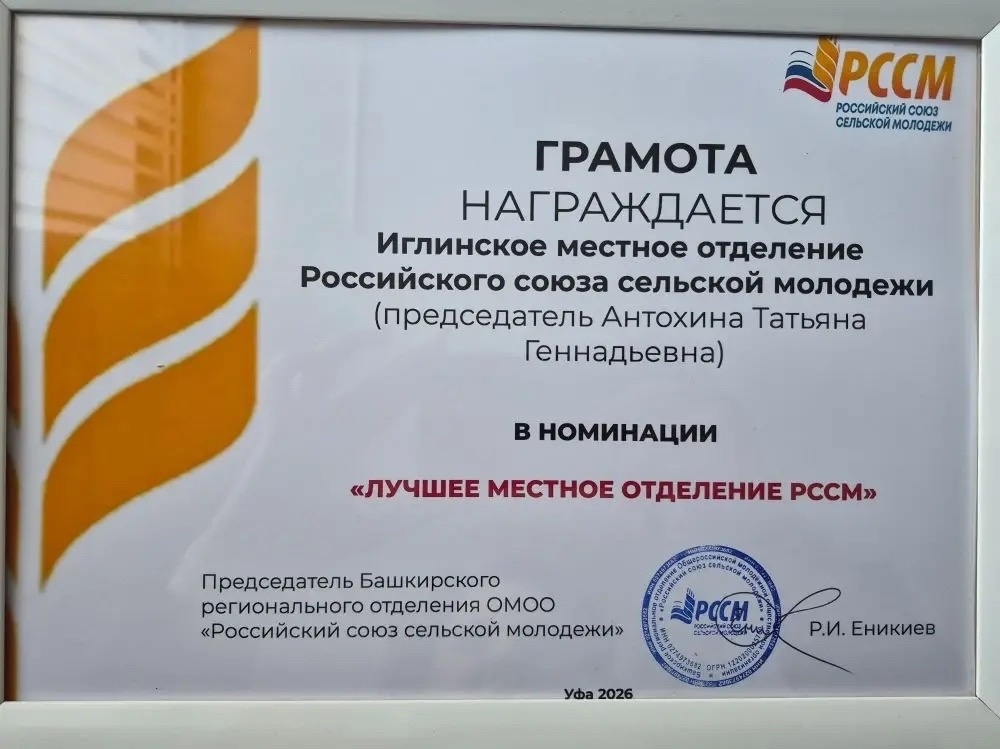 Признание на республиканском уровне: иглинская молодежь — лучшая в своей сфере