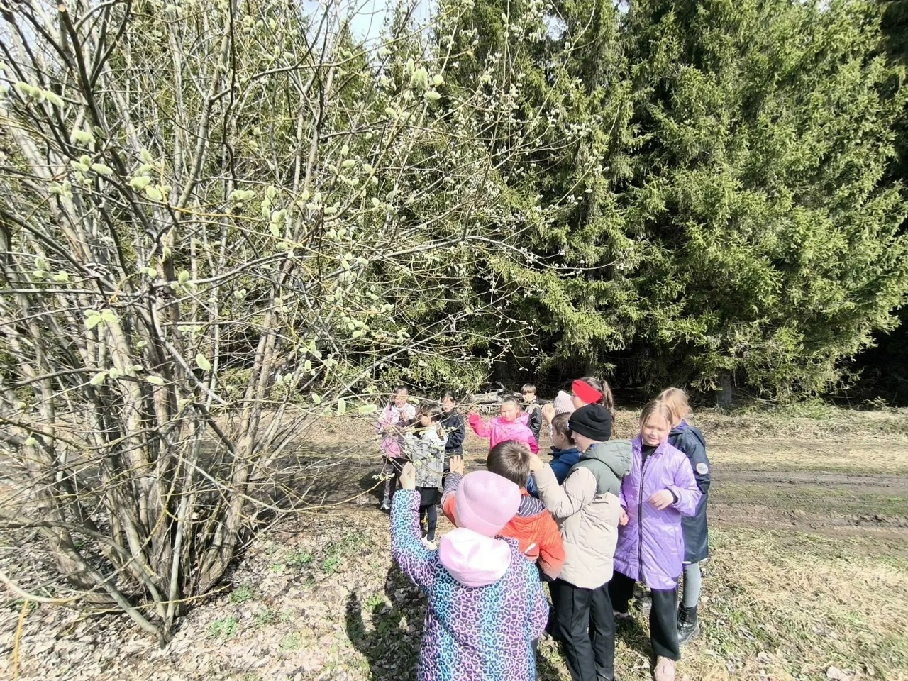 Юные экологи из Калтыманово собирали крышечки и батарейки