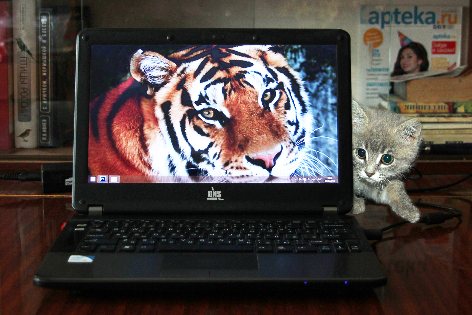 Заблуждения, которые могут стоить вам денег: разбираем мифы о кибербезопасности