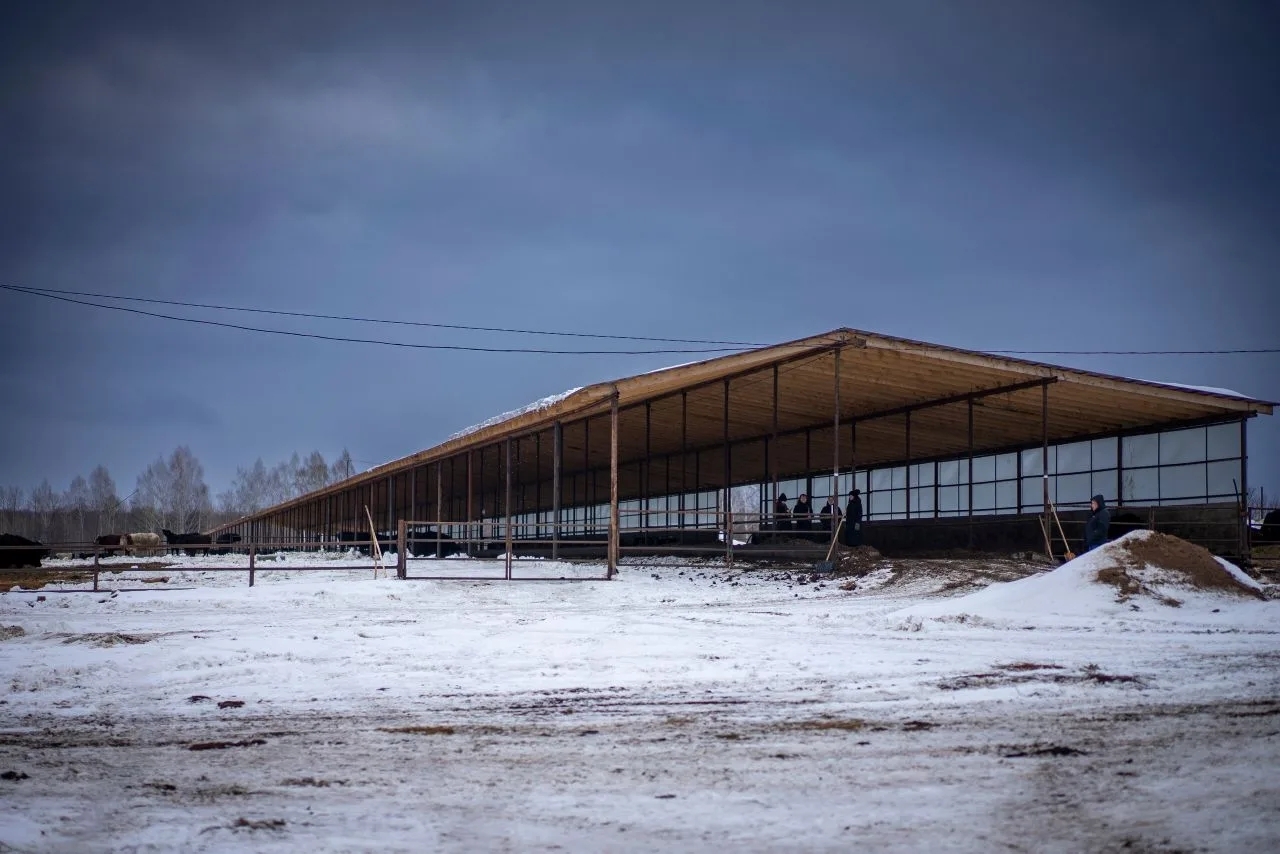 В Иглинском районе открылся современный фидлот на 800 голов