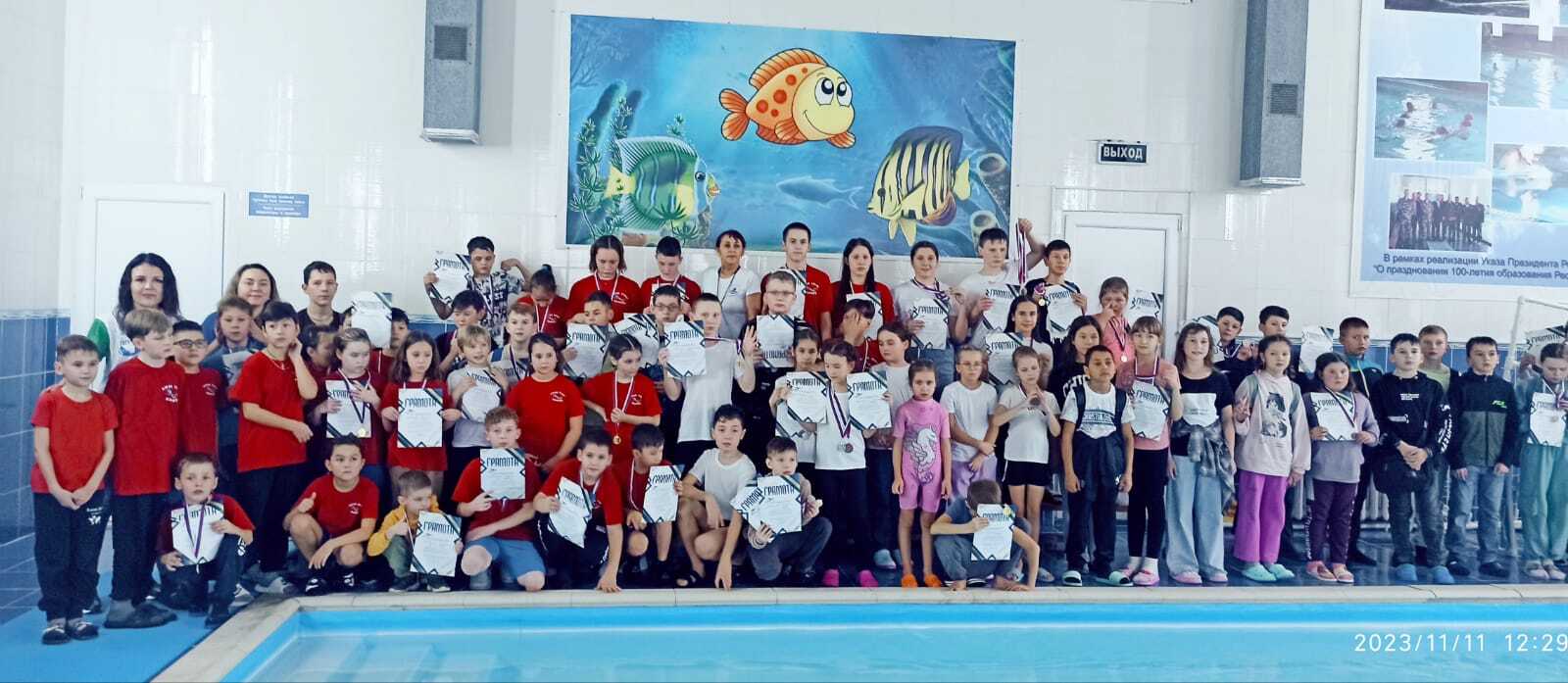 В бассейне "Дельфин" прошли соревнования по плаванию