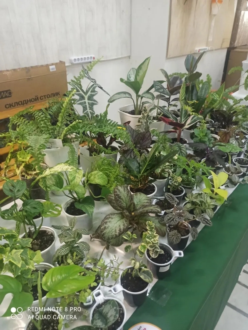 Иглино. История любви цветовода Маргариты Хайруллиной